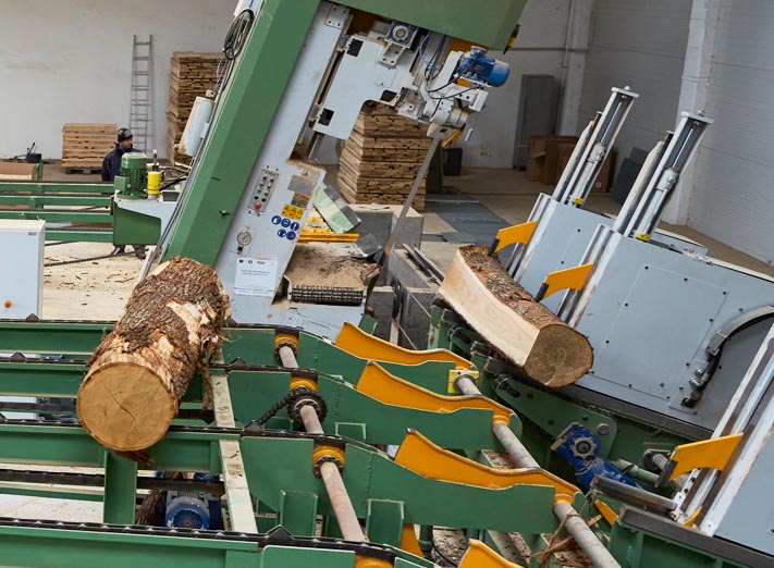 cutting logs into planks with laser guided reducer band saw to be sent to dryer