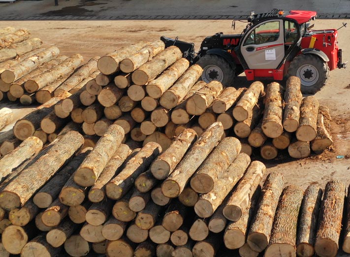 oak log stacks